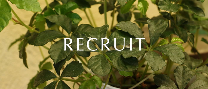 求人情報 ヘアーインクーカラー 和歌山県 紀の川市貴志川町 美容院 美容室