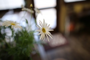 ３月